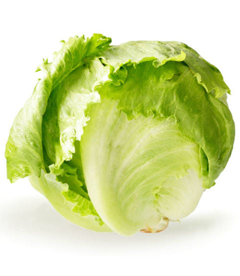 Fresh Durban Lettuce – B.Nagiahs